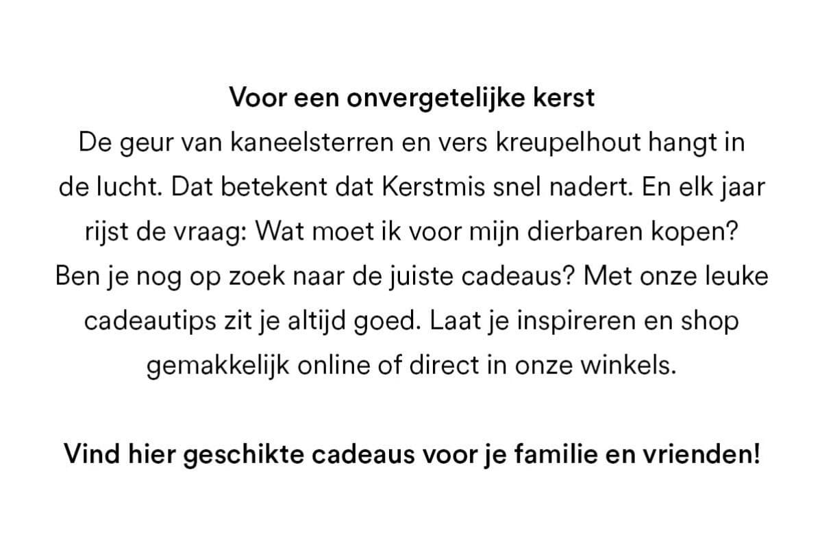 Voor en onvergetelijk kerstfeest