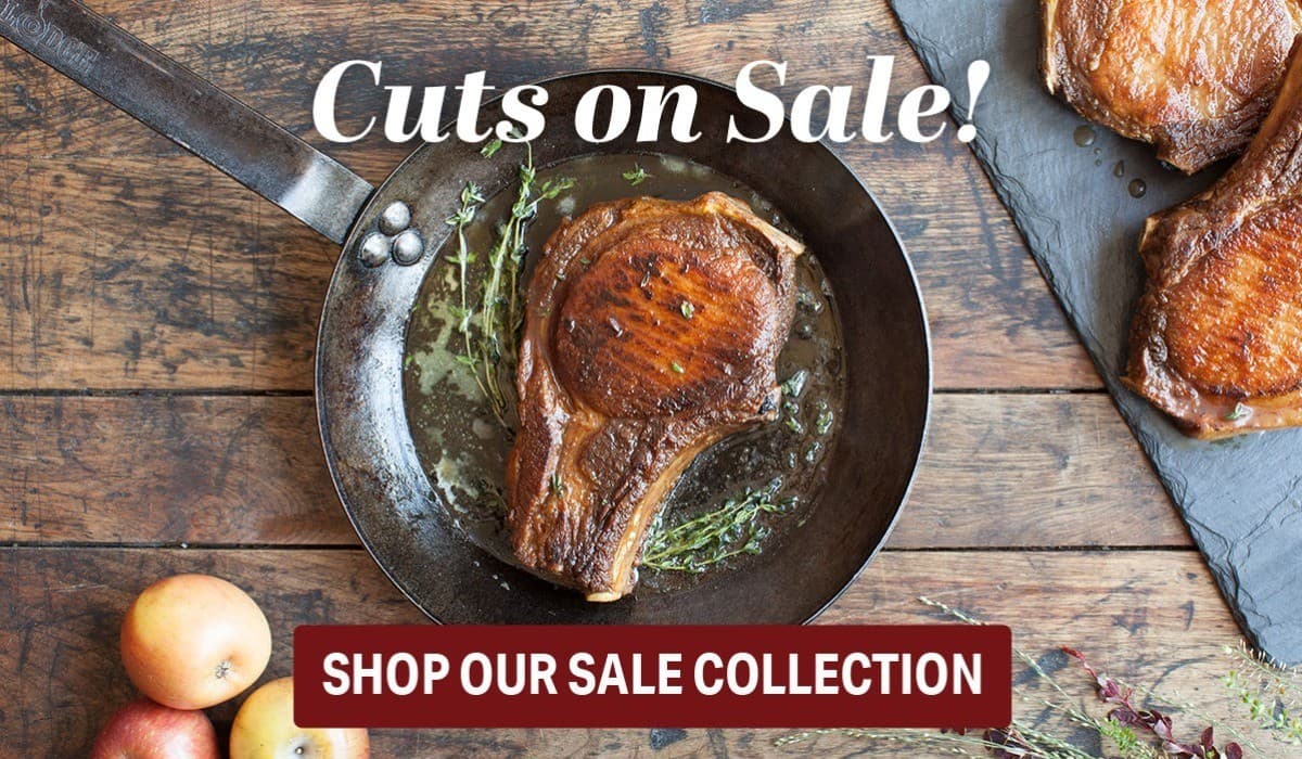 Shop Our Sale Collection!