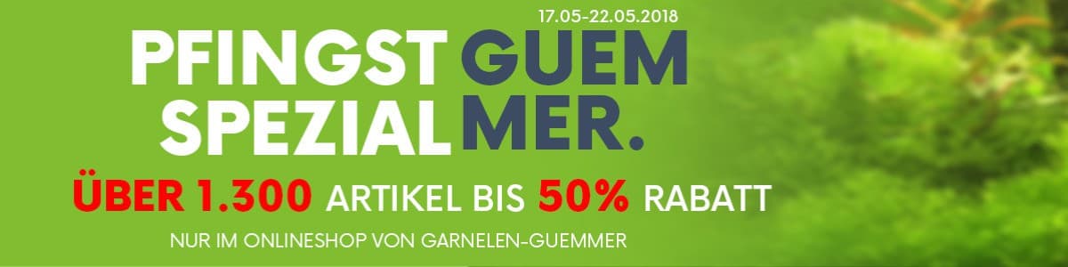 Guemmer Pfingst Spezial