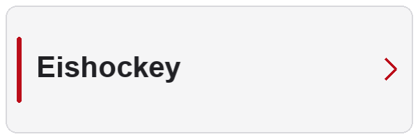Eishockey-Ausrüstung entdecken