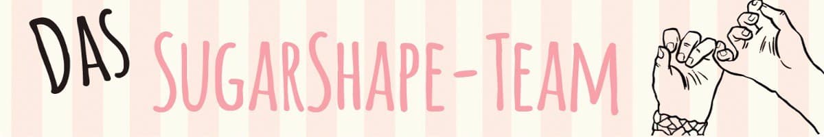 Das SugarShape-Team